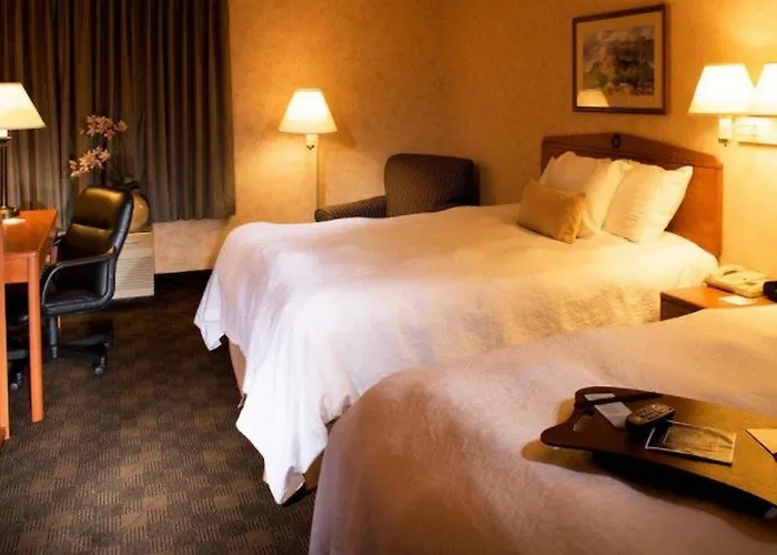 Hotel Hampton 3*